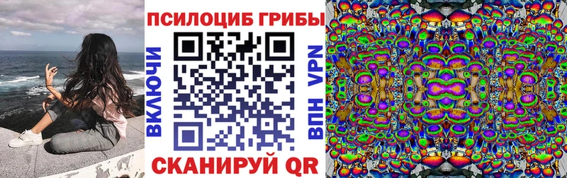 Купить где  Лабытнанги  Псилоцибиновые грибы Cubensis 